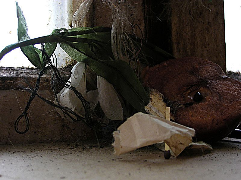 Всякое на подоконнике
---------
 (кликните по изображению, чтобы открыть его в полный экран)