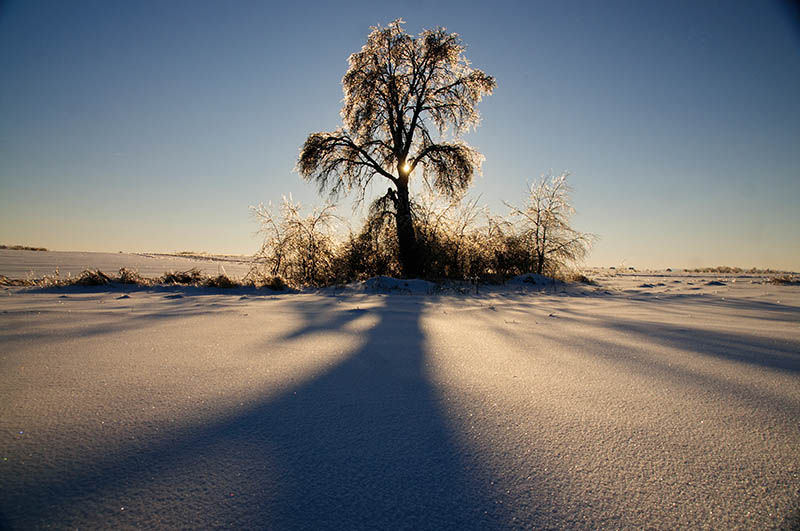  
---------
 (  ,      )