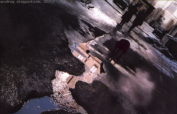 -../amores perros
---------
 (  ,      )