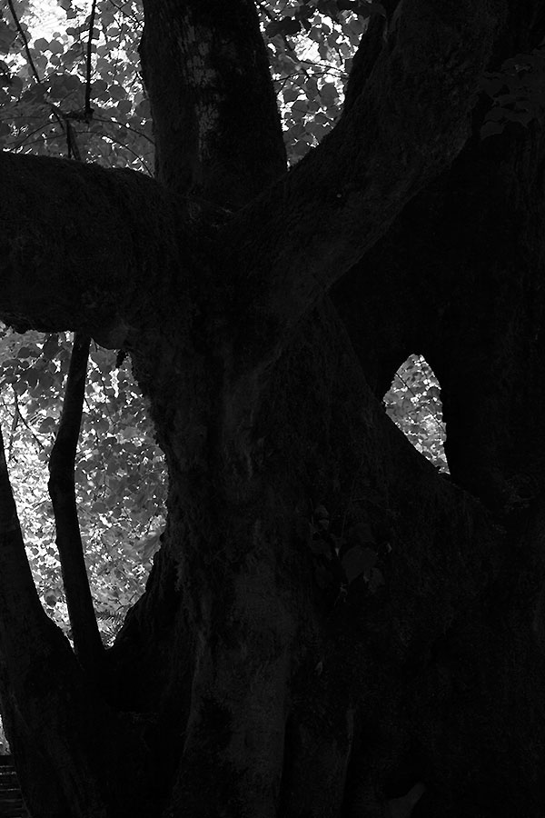 
---------
 (  ,      )