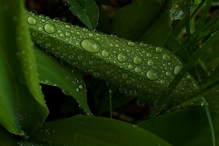 
---------
 (  ,      )