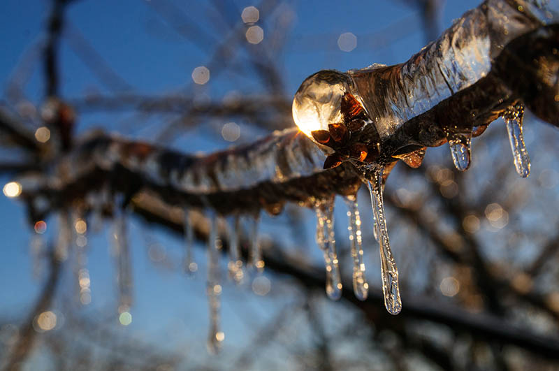  
---------
 (  ,      )