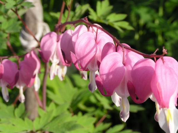   
---------
 (  ,      )