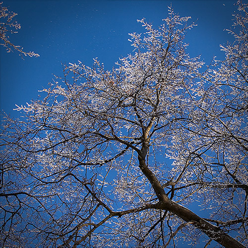 �������� ��� � ������ �����
---------
 (�������� �� �����������, ����� ������� ��� � ������ �����)