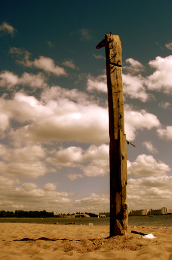 totem
---------
 (  ,      )