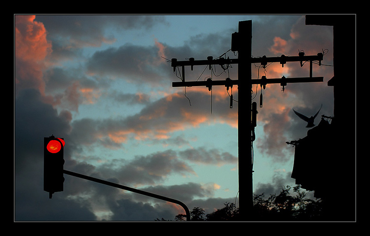 Traffic light and..............Evening Flight
---------
 (  ,      )