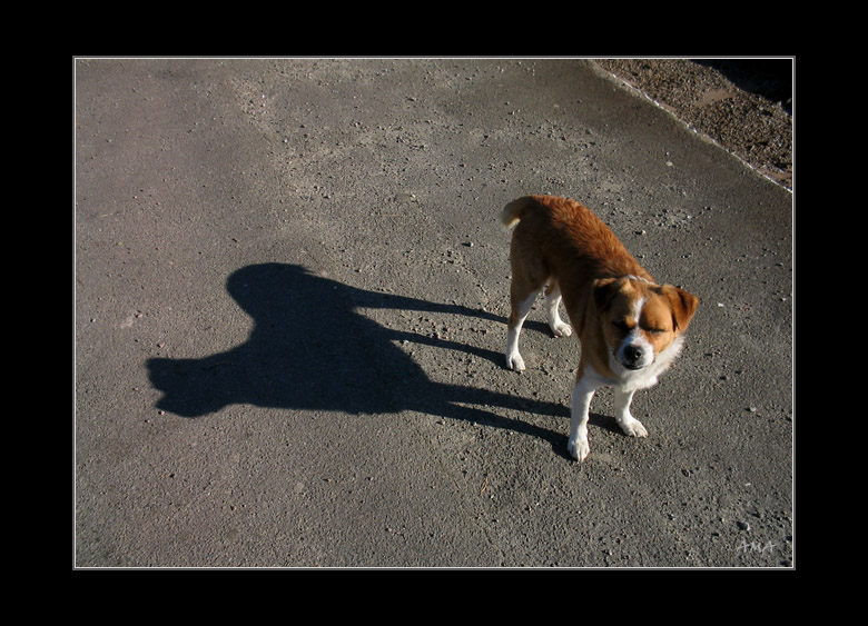  
---------
 (  ,      )