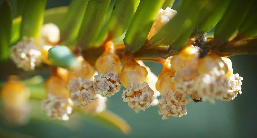  
---------
 (  ,      )