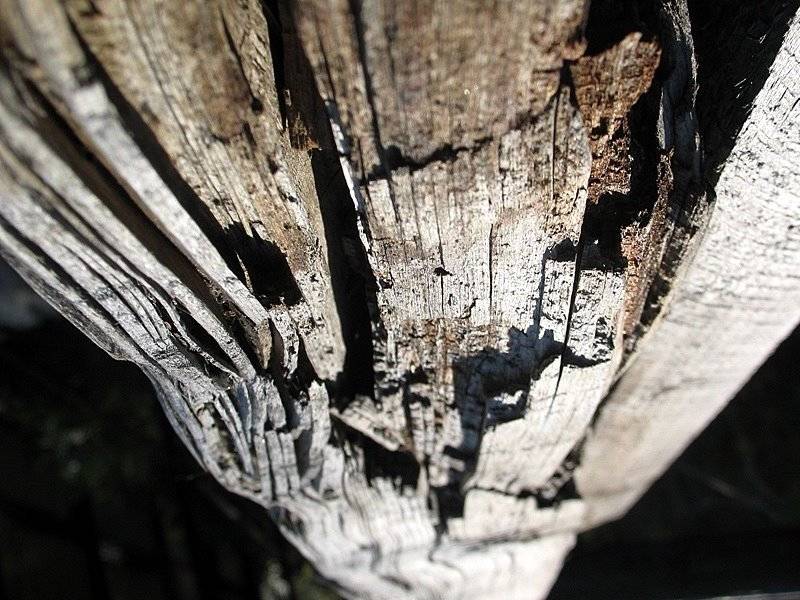 Old WOOD
---------
 (  ,      )