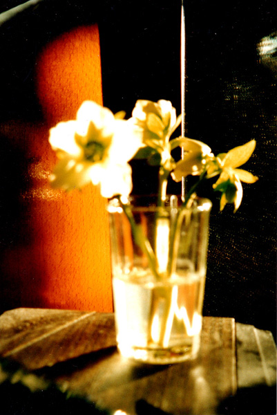 [��� ��������]
---------
 (�������� �� �����������, ����� ������� ��� � ������ �����)