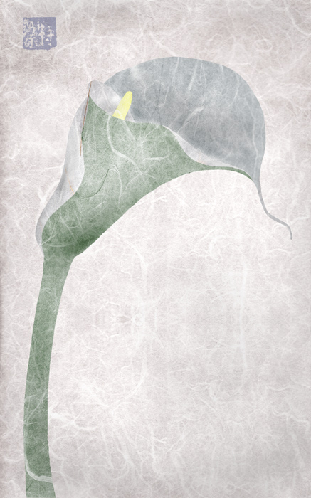 calla lily
---------
 (  ,      )