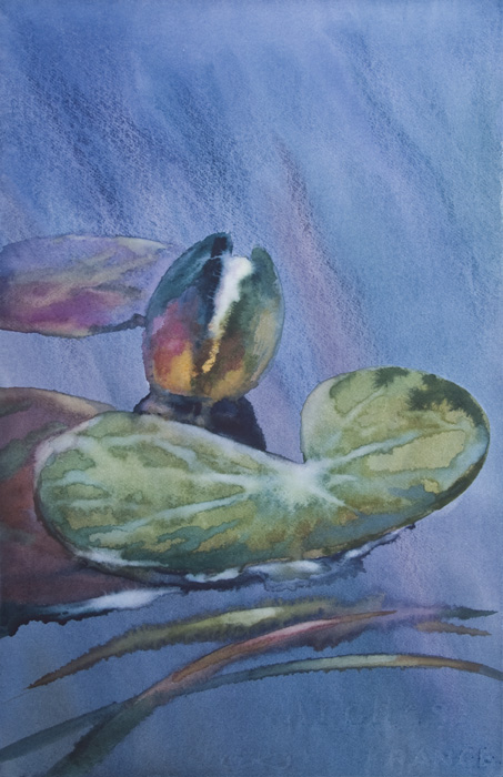  III
---------
 (  ,      )