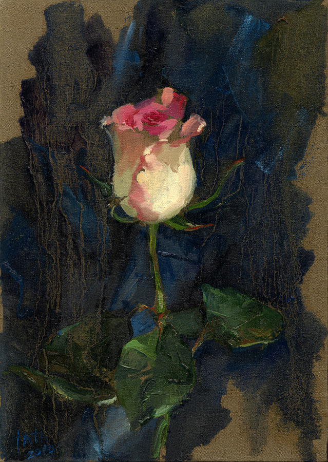 rose on blue
---------
 (  ,      )