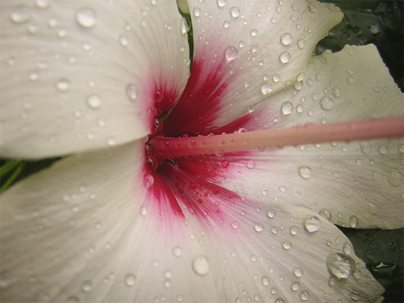 ***
---------
 (  ,      )