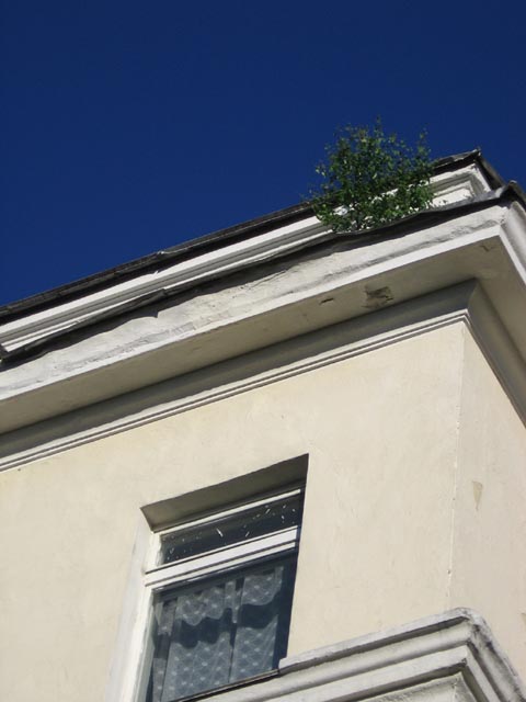 ����� �������
---------
 (�������� �� �����������, ����� ������� ��� � ������ �����)