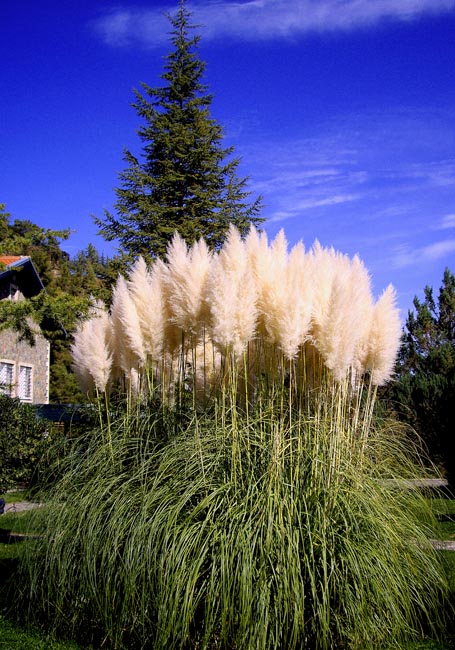 
---------
 (  ,      )