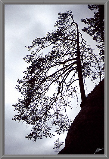 .  .
---------
 (  ,      )