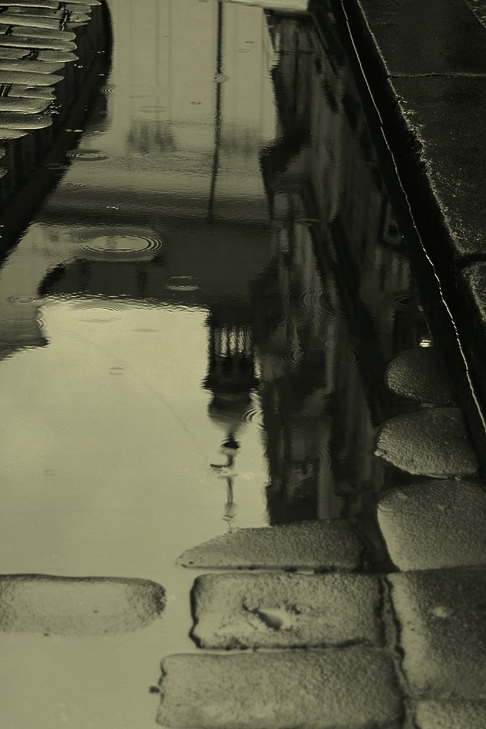 rainy today
---------
 (  ,      )