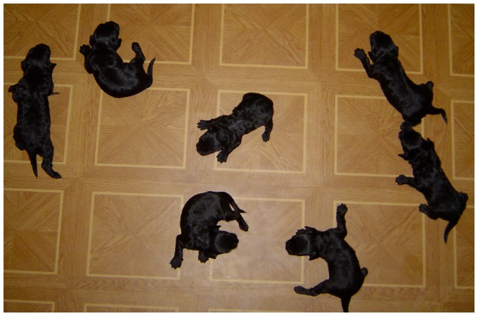 
---------
 (  ,      )