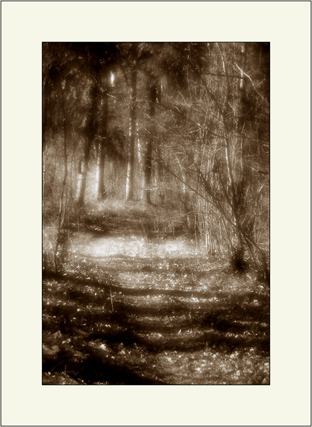 
---------
 (  ,      )