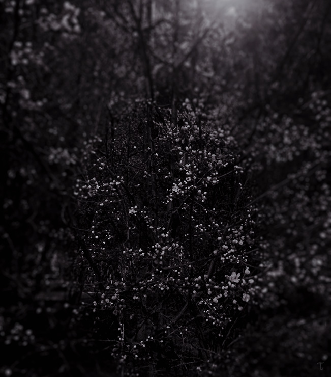 
---------
 (  ,      )