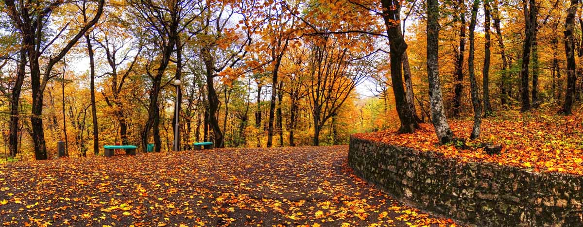  
---------
 (  ,      )