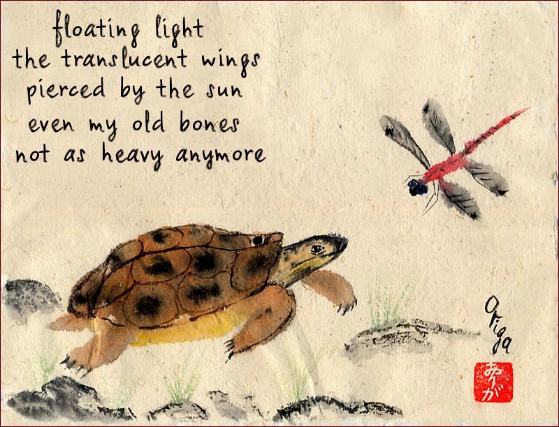 TURTLE & DRAGONFLY -- ��������  �  ��������.
---------
 (�������� �� �����������, ����� ������� ��� � ������ �����)