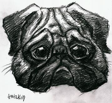 Mops
---------
 (  ,      )