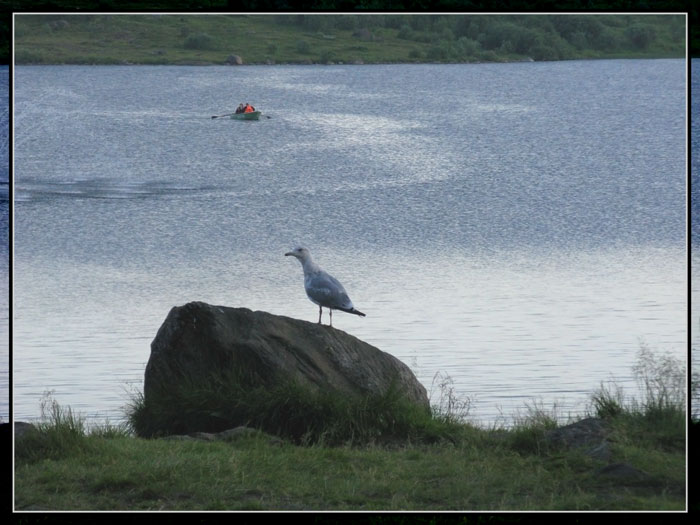 ,     
---------
 (  ,      )