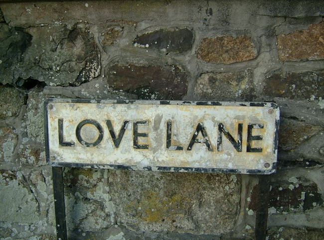Love Lane
---------
 (  ,      )