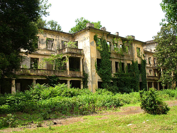   .
---------
 (  ,      )