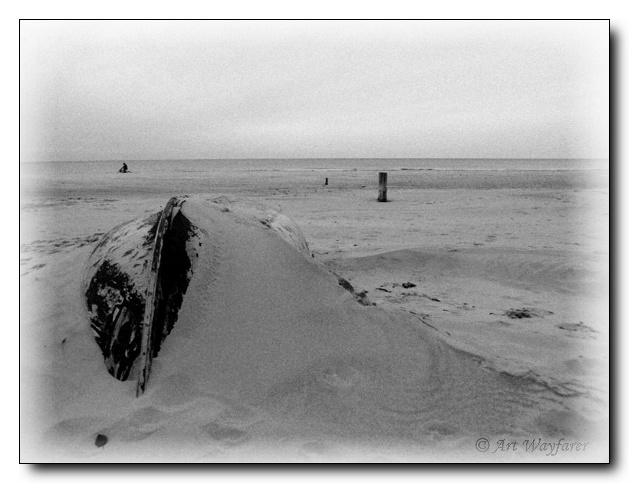 No season (autumn on the beach...)
---------
 (  ,      )