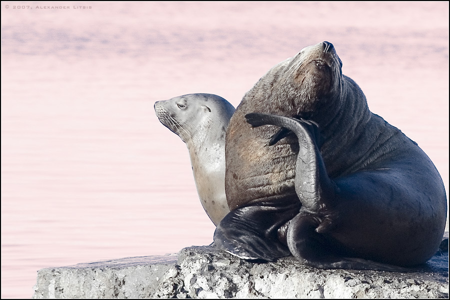 ,    , ?
---------
 (  ,      )