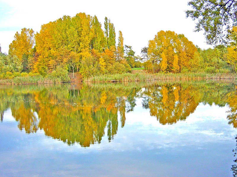 �������  �������
---------
 (�������� �� �����������, ����� ������� ��� � ������ �����)