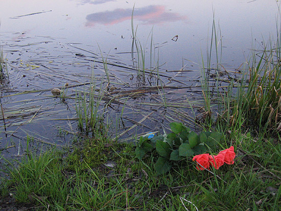 �������, ������� � ����� ���...
---------
 (�������� �� �����������, ����� ������� ��� � ������ �����)