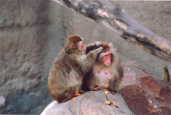      ,  
---------
 (  ,      )