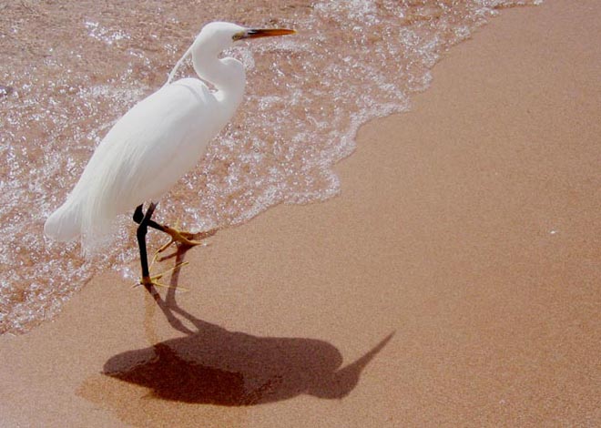 
---------
 (  ,      )