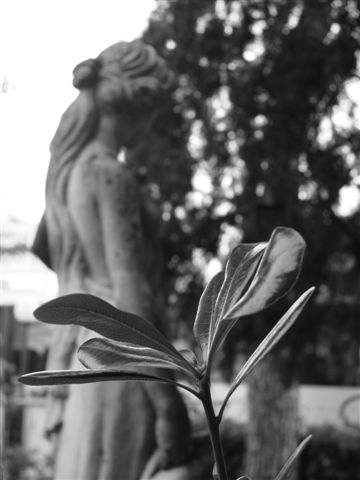 ***
---------
 (�������� �� �����������, ����� ������� ��� � ������ �����)