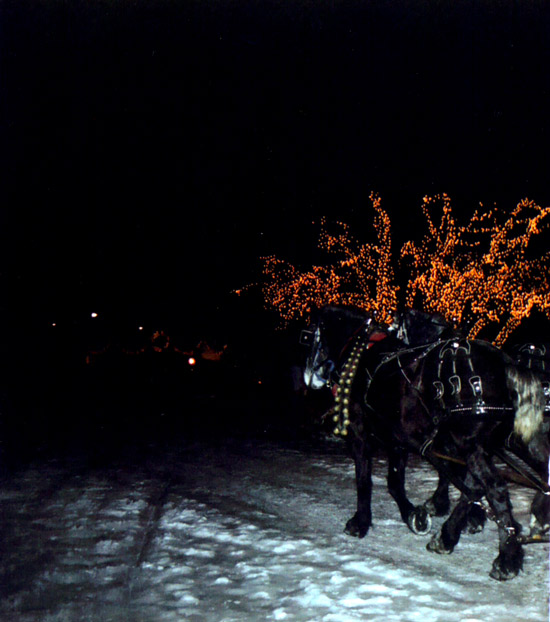 Xmas
---------
 (�������� �� �����������, ����� ������� ��� � ������ �����)
