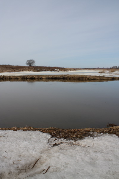 [��� ��������]
---------
 (�������� �� �����������, ����� ������� ��� � ������ �����)