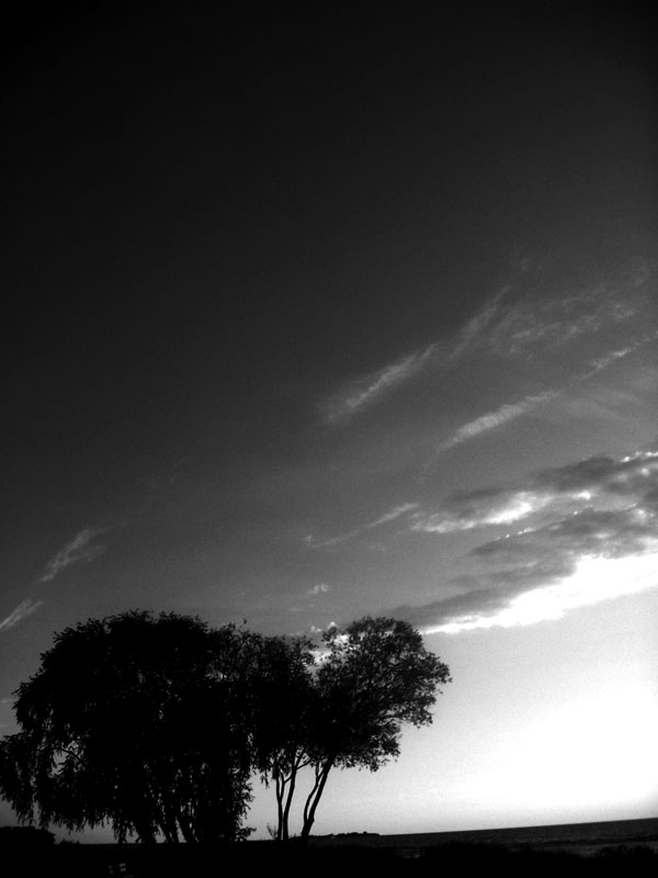 .
---------
 (  ,      )