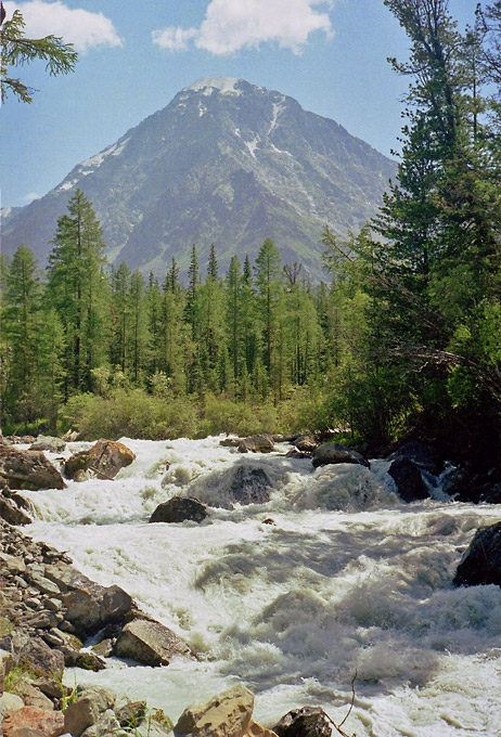 Altai (69) 2000
---------
 (  ,      )