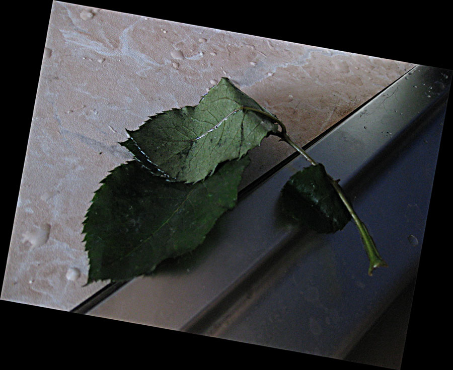  
---------
 (  ,      )