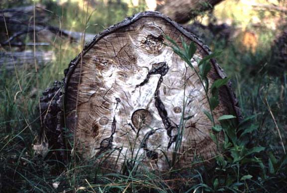 
---------
 (  ,      )