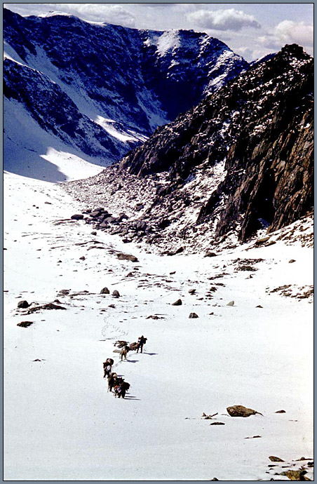 Altai (64) 1980
---------
 (кликните по изображению, чтобы открыть его в полный экран)