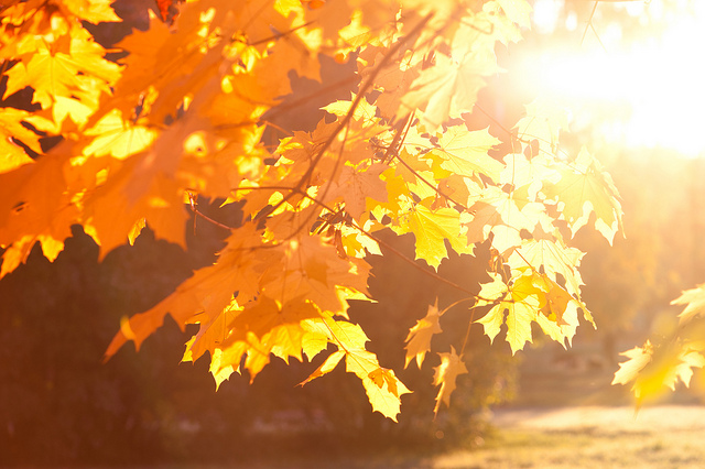 Fiery fall
---------
 (�������� �� �����������, ����� ������� ��� � ������ �����)