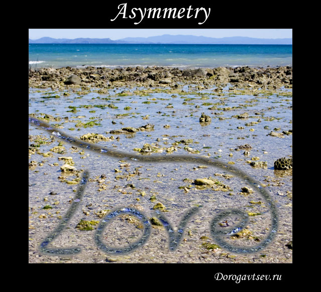  / Asymmetry
---------
 (  ,      )