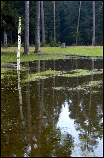 
---------
 (  ,      )