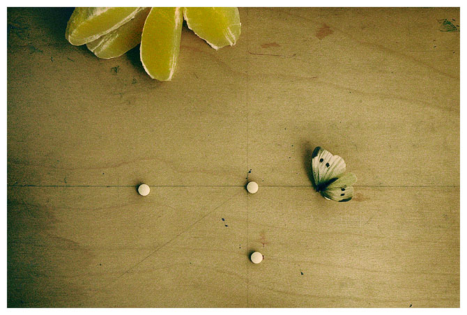 pills lemons butterfly 1
---------
 (  ,      )