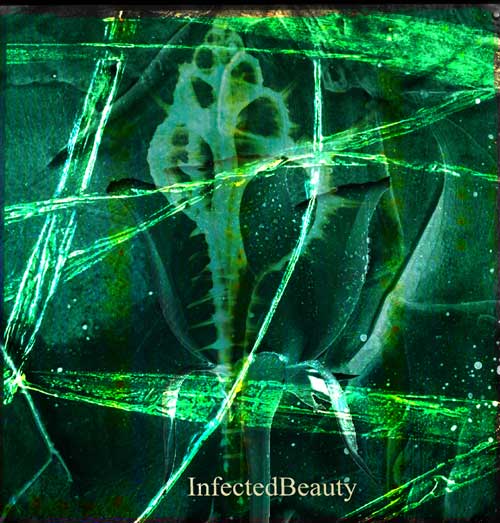 Infected Beauty
---------
 (  ,      )